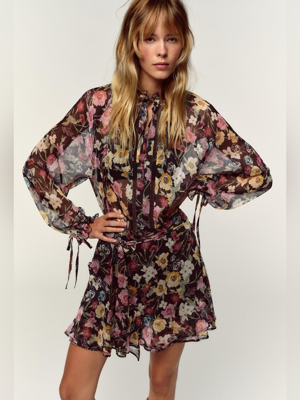 ZARA Semi-Sheer Floral Tie-Neck Mini Dress NWT